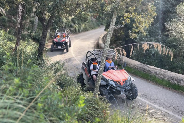 Welcome to the Dragon Buggy Blog