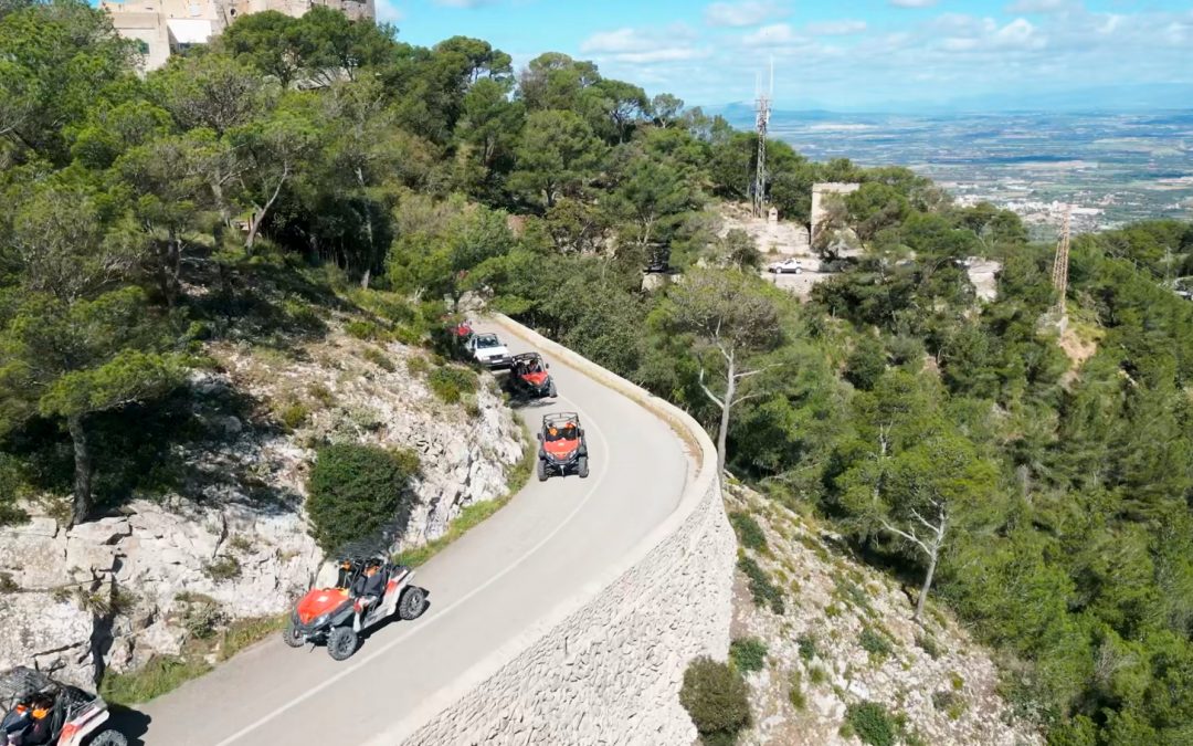 What Makes a Buggy Experience Feel Personal (Not Just Another Tour)